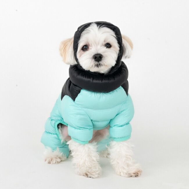 アルパインパファースーツ 防寒