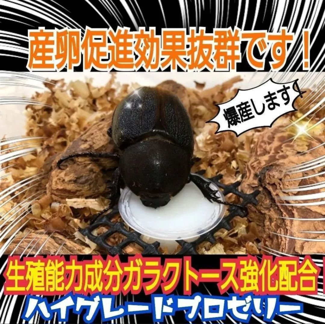 昆虫用品 極上ハイグレードプロゼリー【500個】特殊アミノ酸強化配合