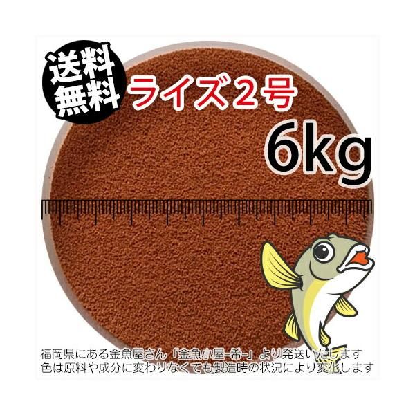 日清丸紅飼料ライズ2号 粒径0.36mm 6kg小分け品 宅配便 東北北海道沖縄発送不可 金魚小屋-希-福岡 3日