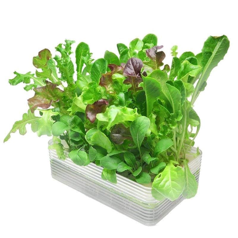 昭和レトロ 女性自身 ￼西城秀樹 沢田研二 篠山紀信 水前寺清子 小沢栄太郎