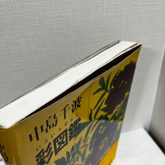 中島千波彩図鑑 (求龍堂グラフィックス) 求龍堂 中島千波 - メルカリ