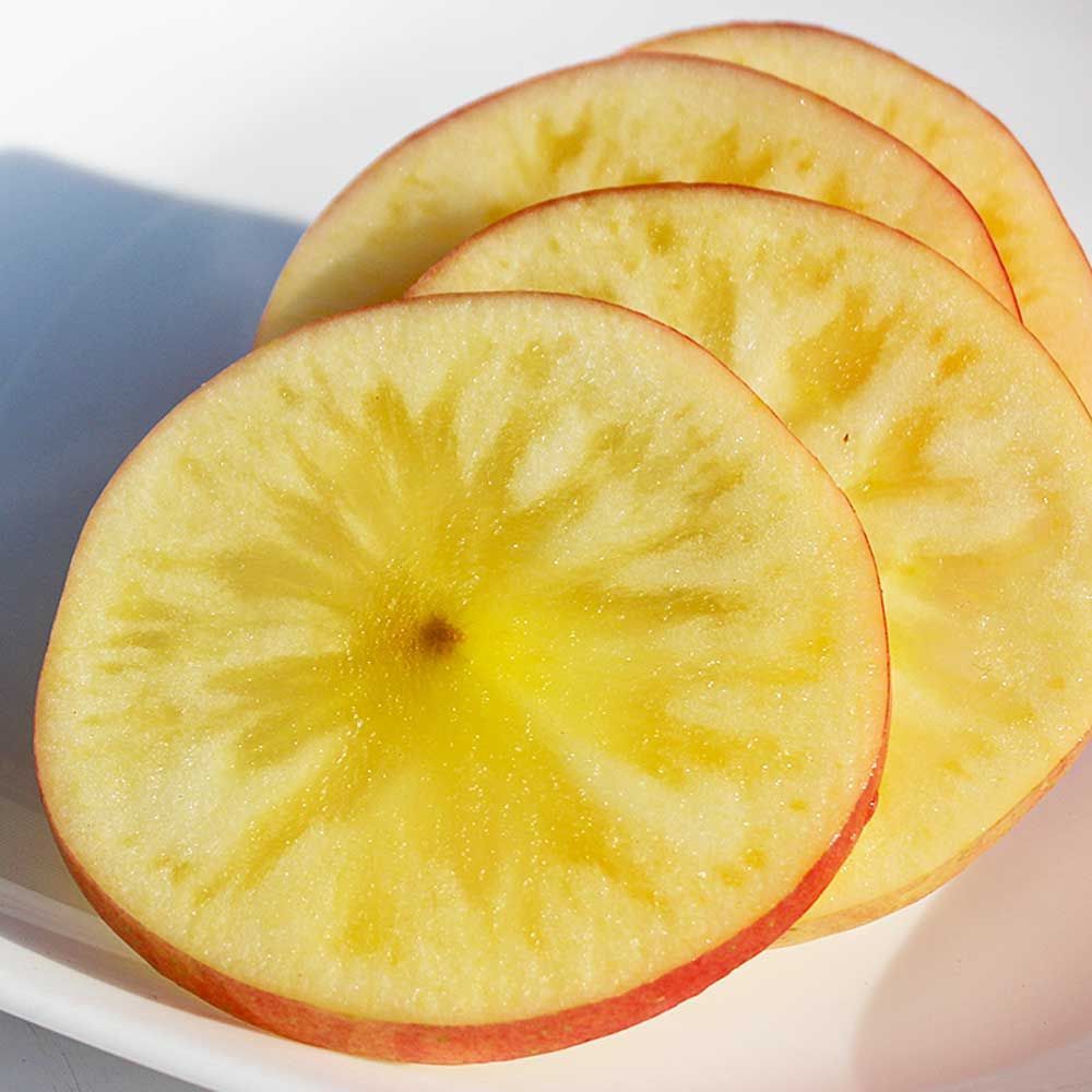 訳あり こみつ １０キロ前後 32～60玉入り ご家庭用 蜜入り林檎 青森産 ※東北・北海道配送商品