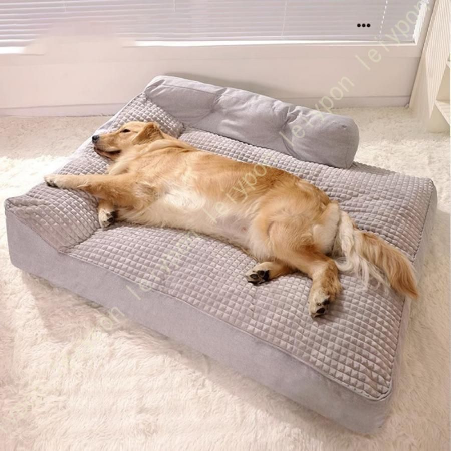 うさぎ 小動物用