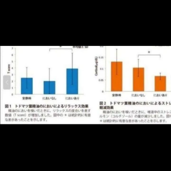 老舗の入浴剤 オンセンスパインバス
