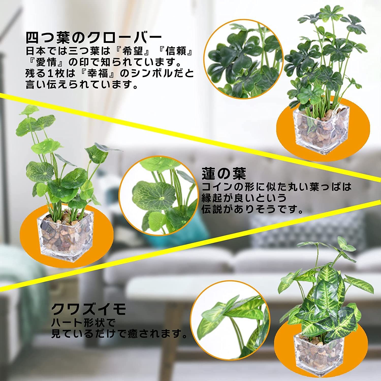 四つ葉のクローバー栽培セット 栽培キット 観葉植物 植物 四つ葉