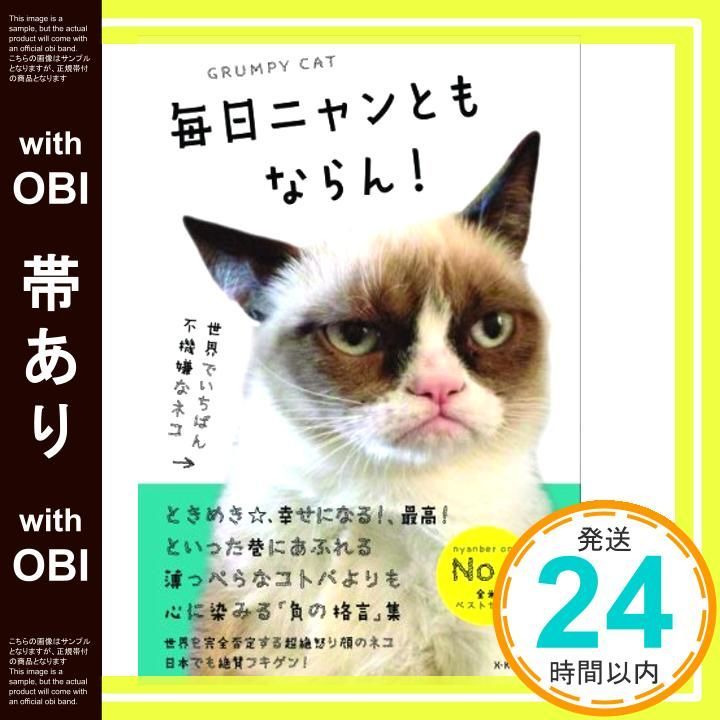帯あり 毎日ニャンともならん! 世界でいちばん不機嫌なネコ フキゲンネコ_07