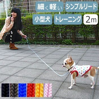 犬 リード スキップ シンプルリード ロング 2m （同色2本セット） ショーリード トレーニング しつけ 軽い 細い ナイロン トレーナー 教室 -  メルカリ