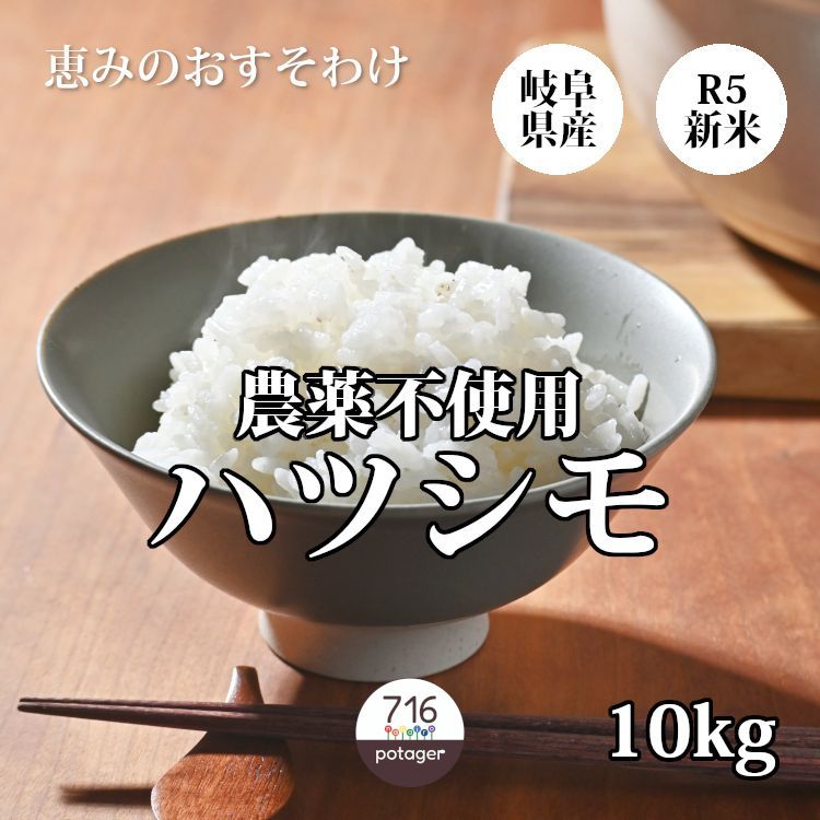 新米 令和5年 岐阜県産 はつしも お米 10キロ 訳あり R5