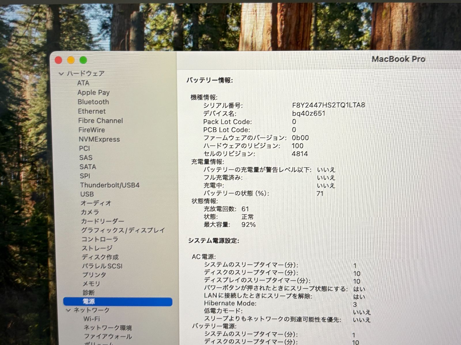 Pro 14インチ