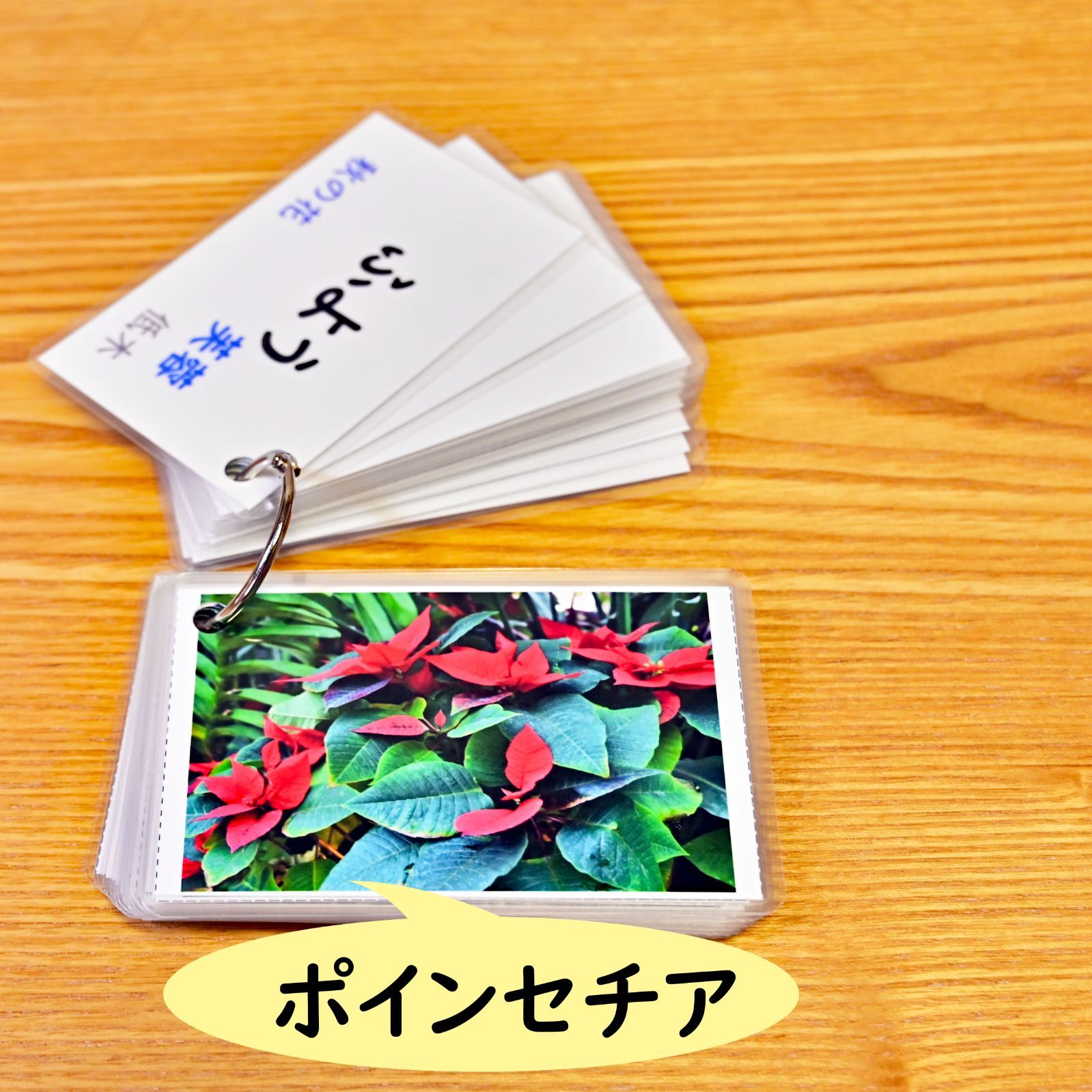 季節の花カード Part2 四季の学習に 小学校受験に - メルカリ