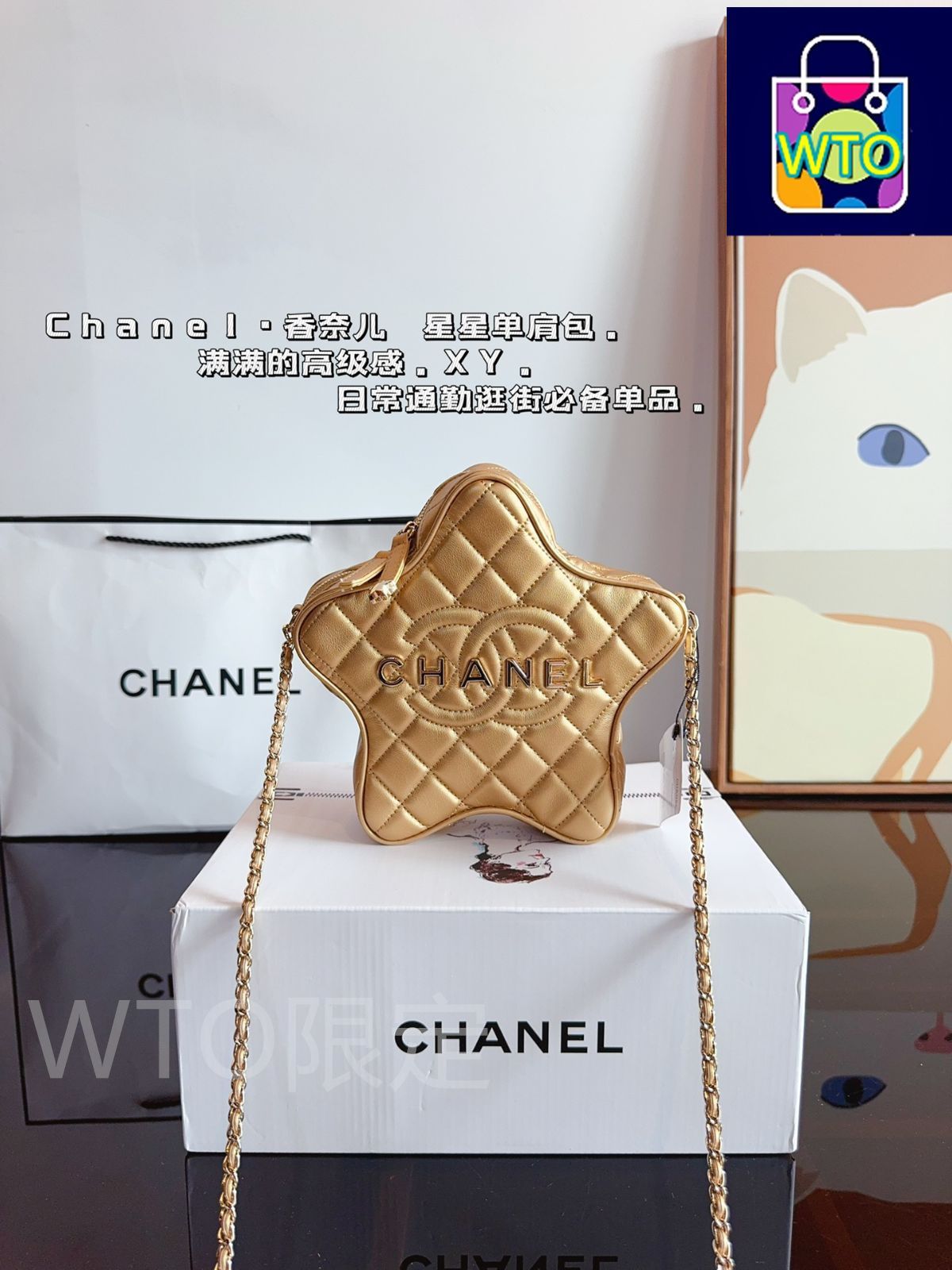 シャネルCHANEL 24 C星のバッグ、ハンドバッグケースバッグ