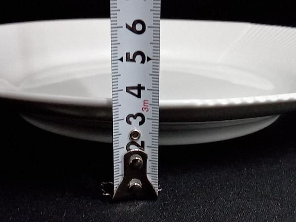 プレート 約26cm