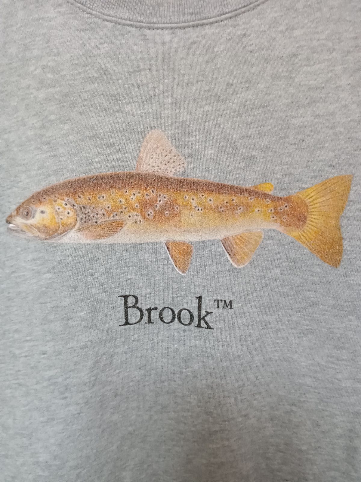 brook魚スウェット brook魚スウェット Brook 魚プリント スウェット Mサイズ グレー