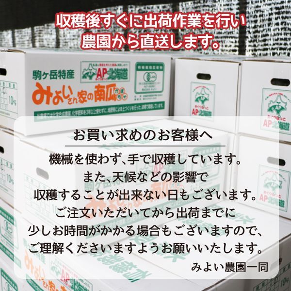 有機かぼちゃ くりりんかぼちゃ