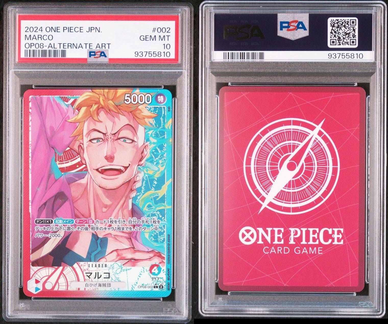 マルコP-L PSA10