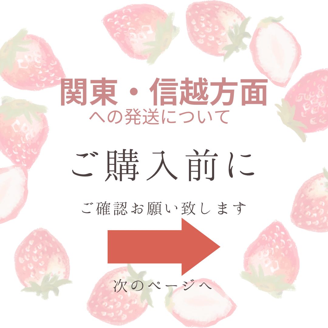 値下げ」新鮮朝採り‼️かんちゃん農園の甘いいちご - 果物