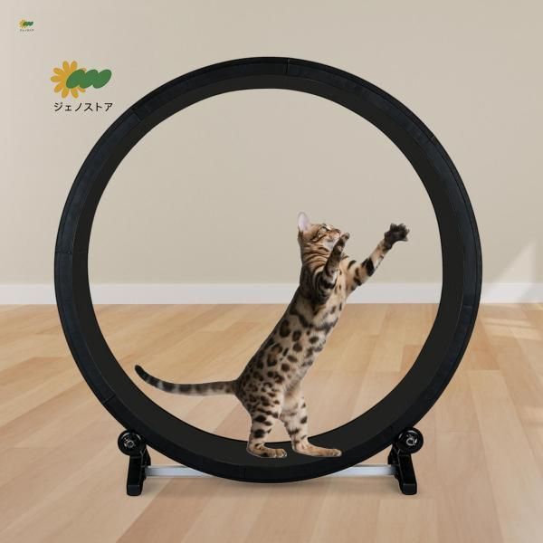 キャット ランニング ホイール スクラッチャー ボード ミュート トレーナー 子猫 トレーニング キティ用 STEELWINDOWSANDDOORS_COM
