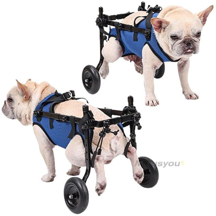 グレース　犬用車椅子　犬の歩行器　マルチーズ　犬の車いす　歩行補助ハーネス Amazon.co.jp: MIKEART 犬用車椅子 歩行器 車いす 4輪 歩行補助