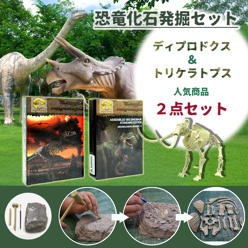 メルカリShops - 恐竜化石発掘キット 『ディプロドクス』と『トリケラトプス』人気2種類お得セット！