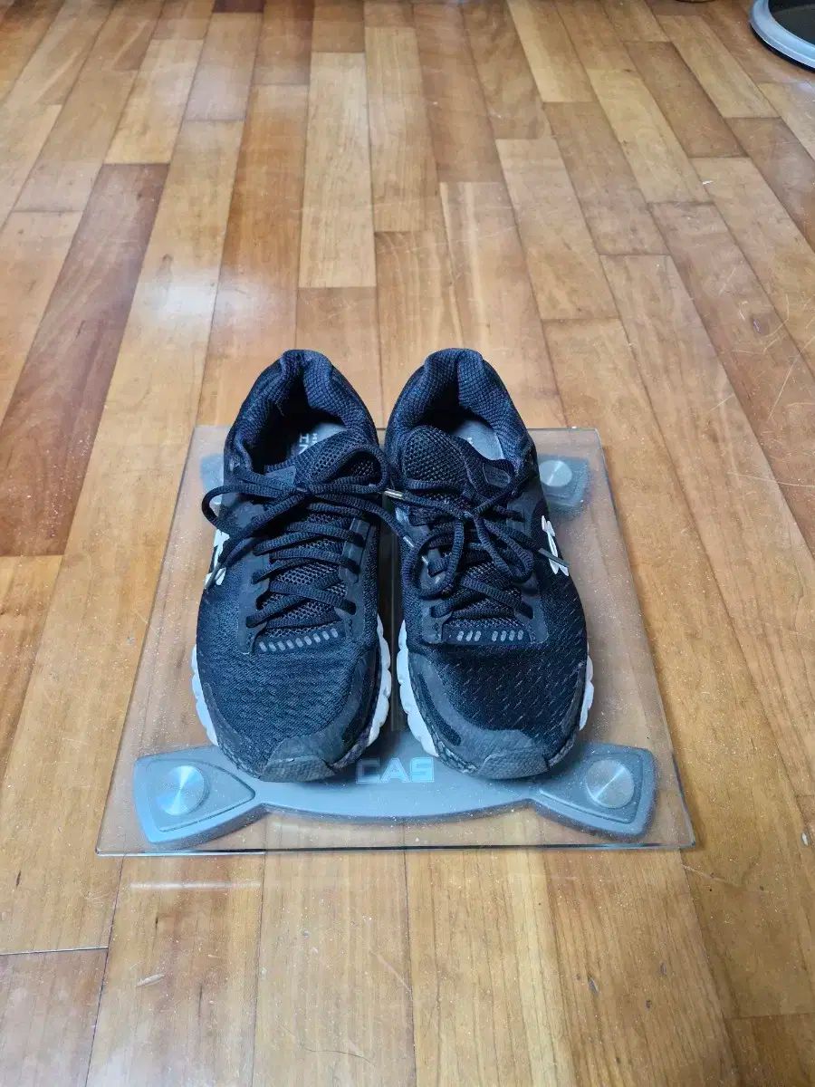 UNDER ARMOUR(アンダーアーマー) スニーカー 250