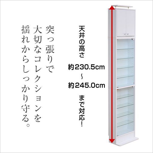 コレクションラック