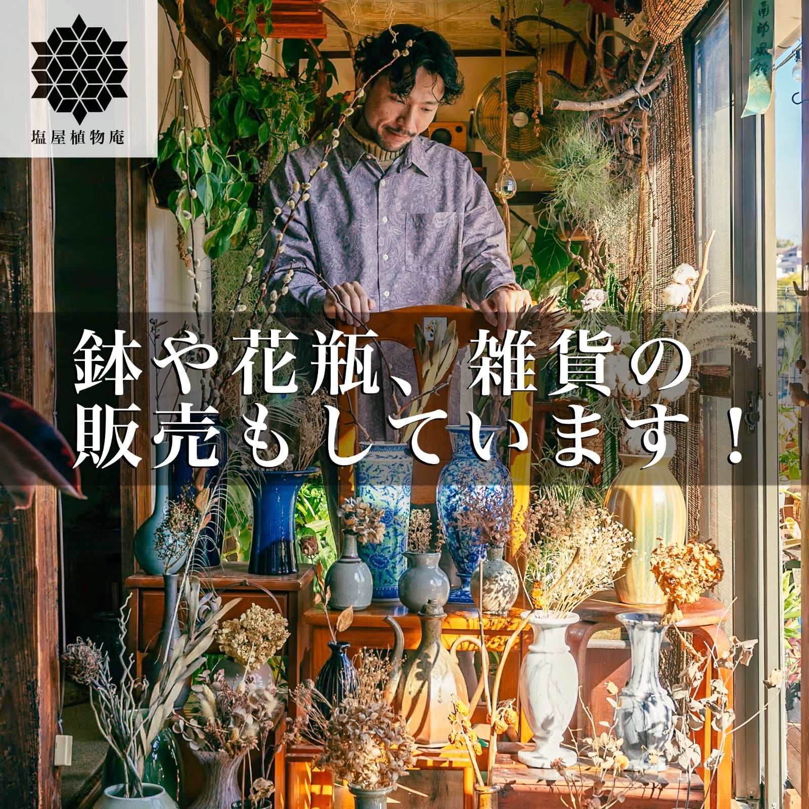 植木 鉢