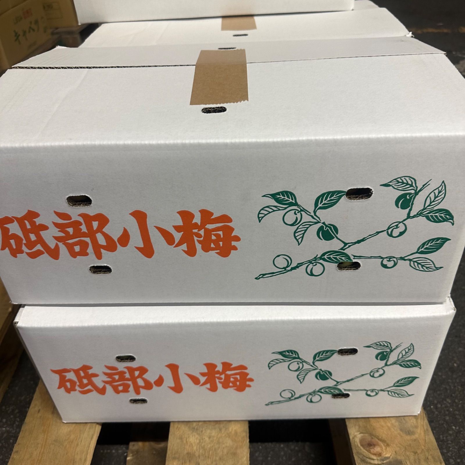 砥部七折小梅10キロ 発送