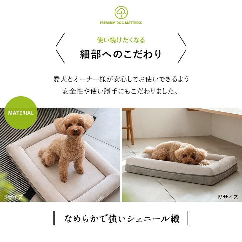 猫 ペット