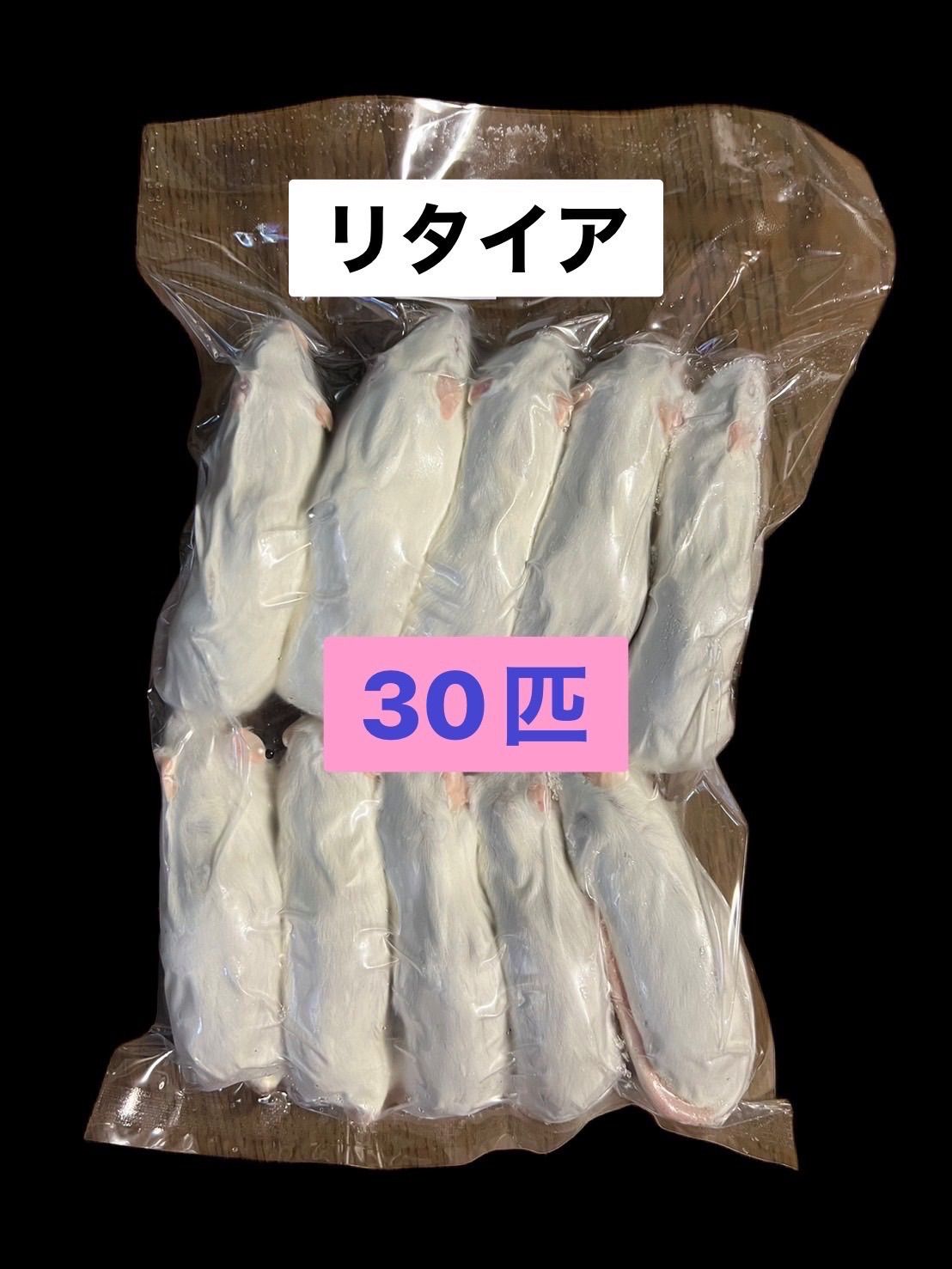 国産冷凍リタイアマウス 30匹 み 同梱可