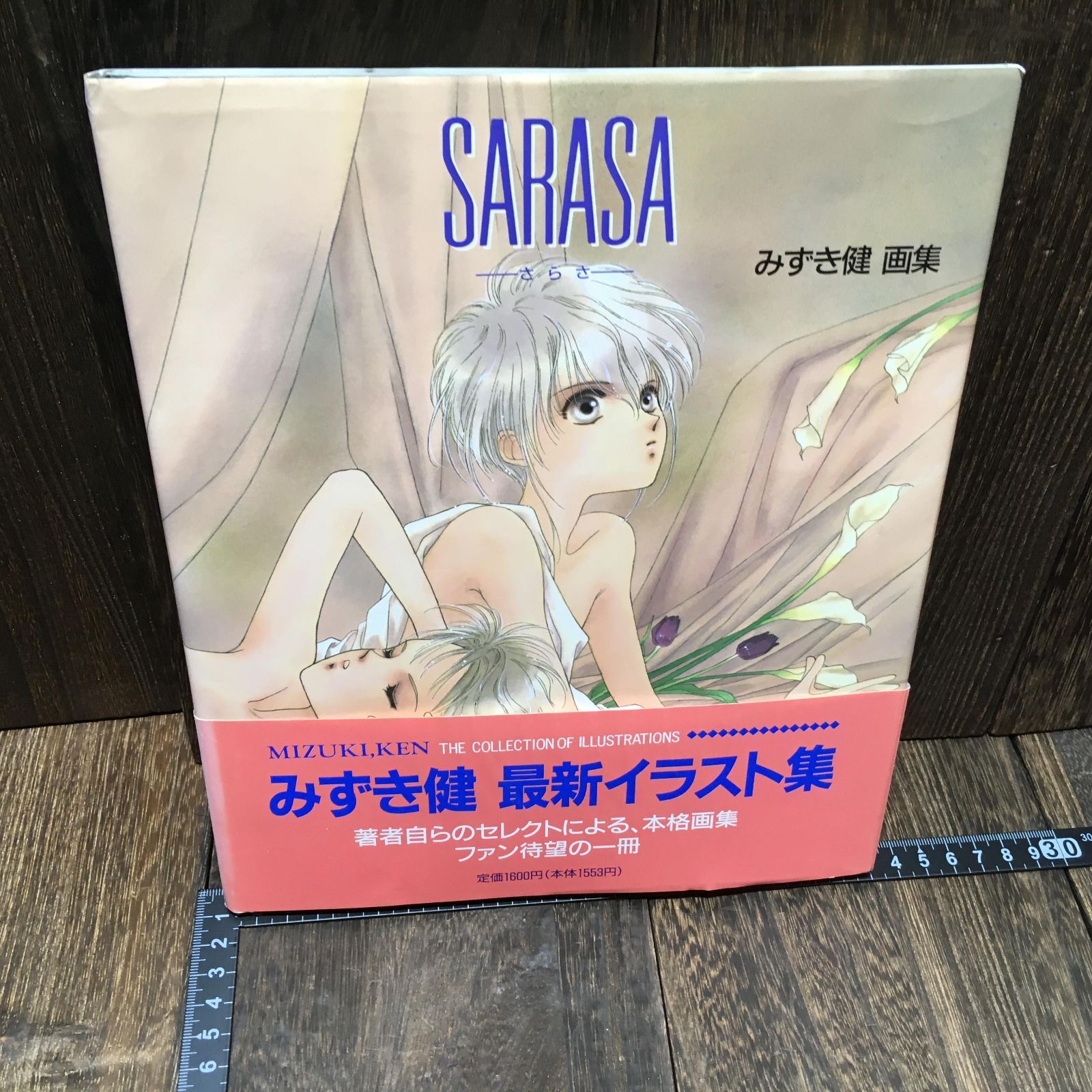 SARASA さらさ みずき健画集 - メルカリ