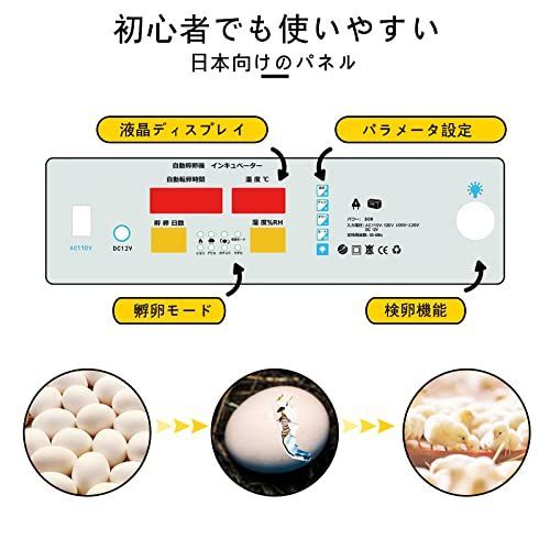 HKDQ 自動孵卵器 インキュベーター 自動転卵式 自動温度制御 湿度保持