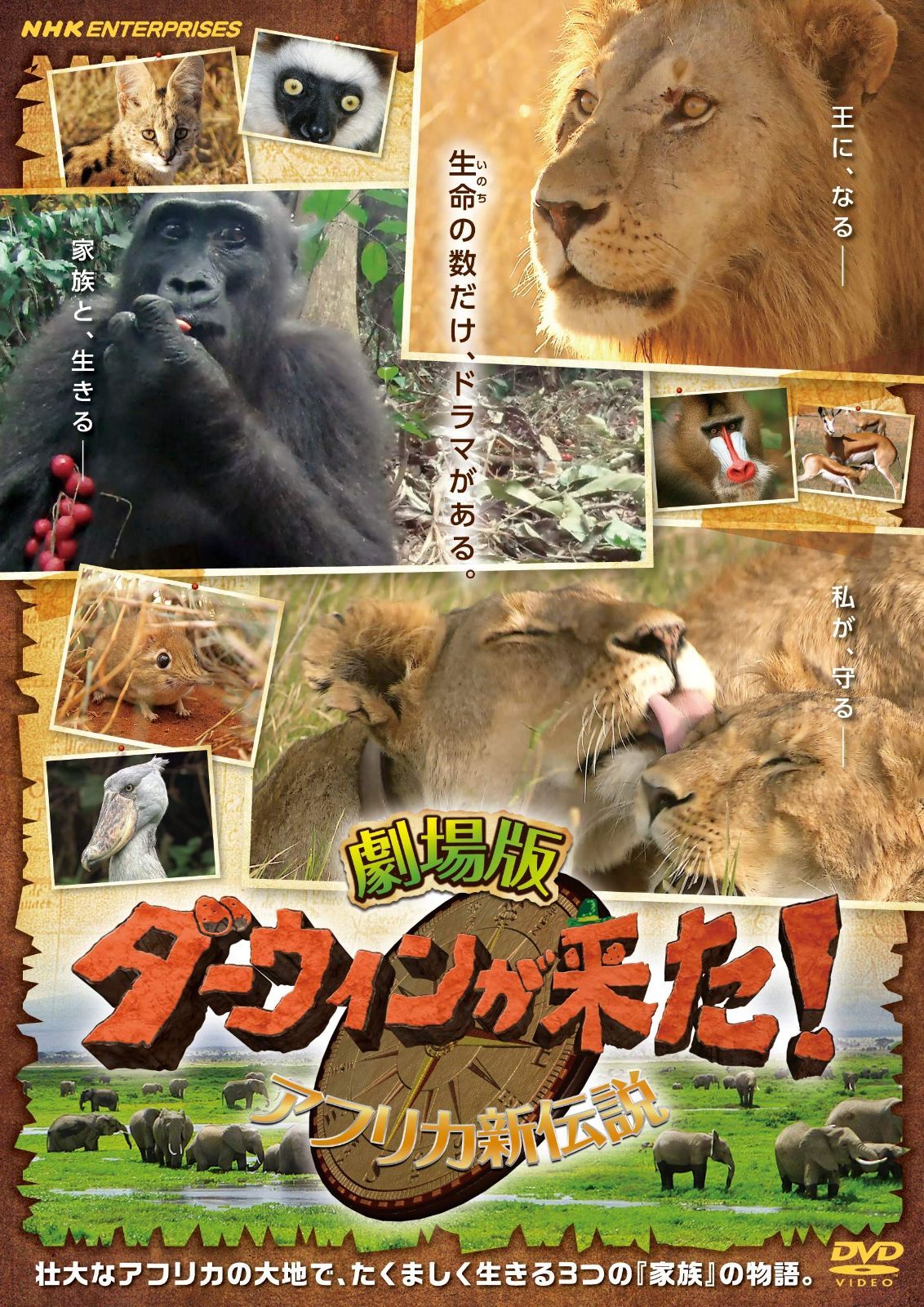 劇場版 ダーウィンが来た! アフリカ新伝説 [DVD]