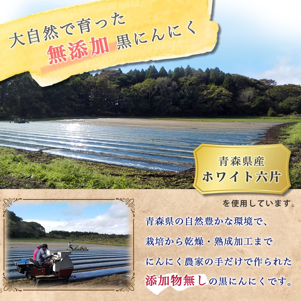青森県産