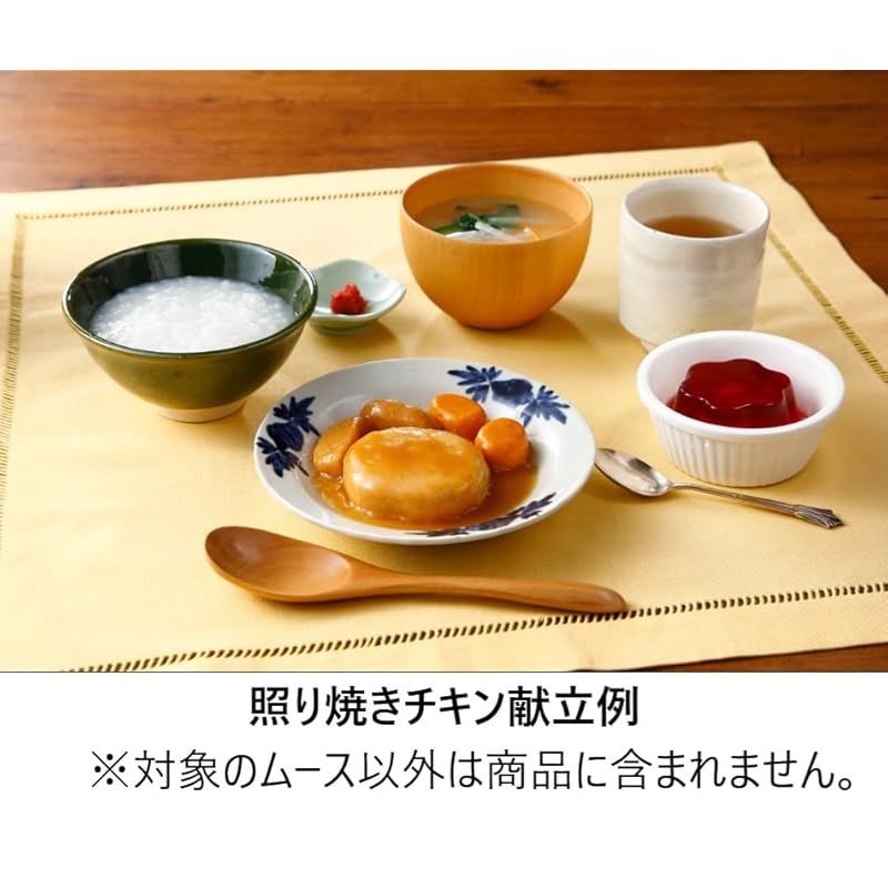エバースマイルムース食 主菜全26品セット