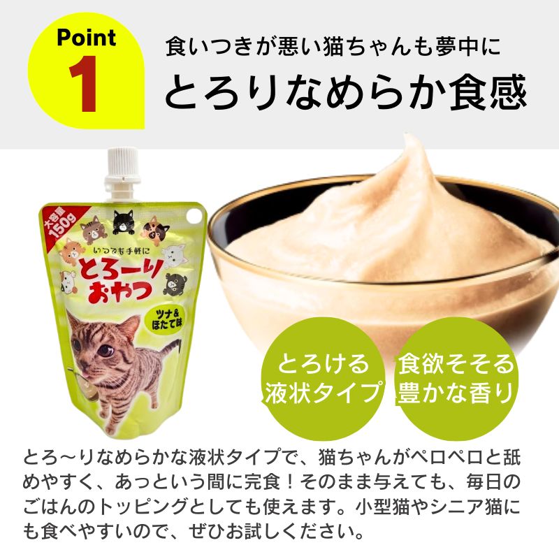 高齢猫 シニア