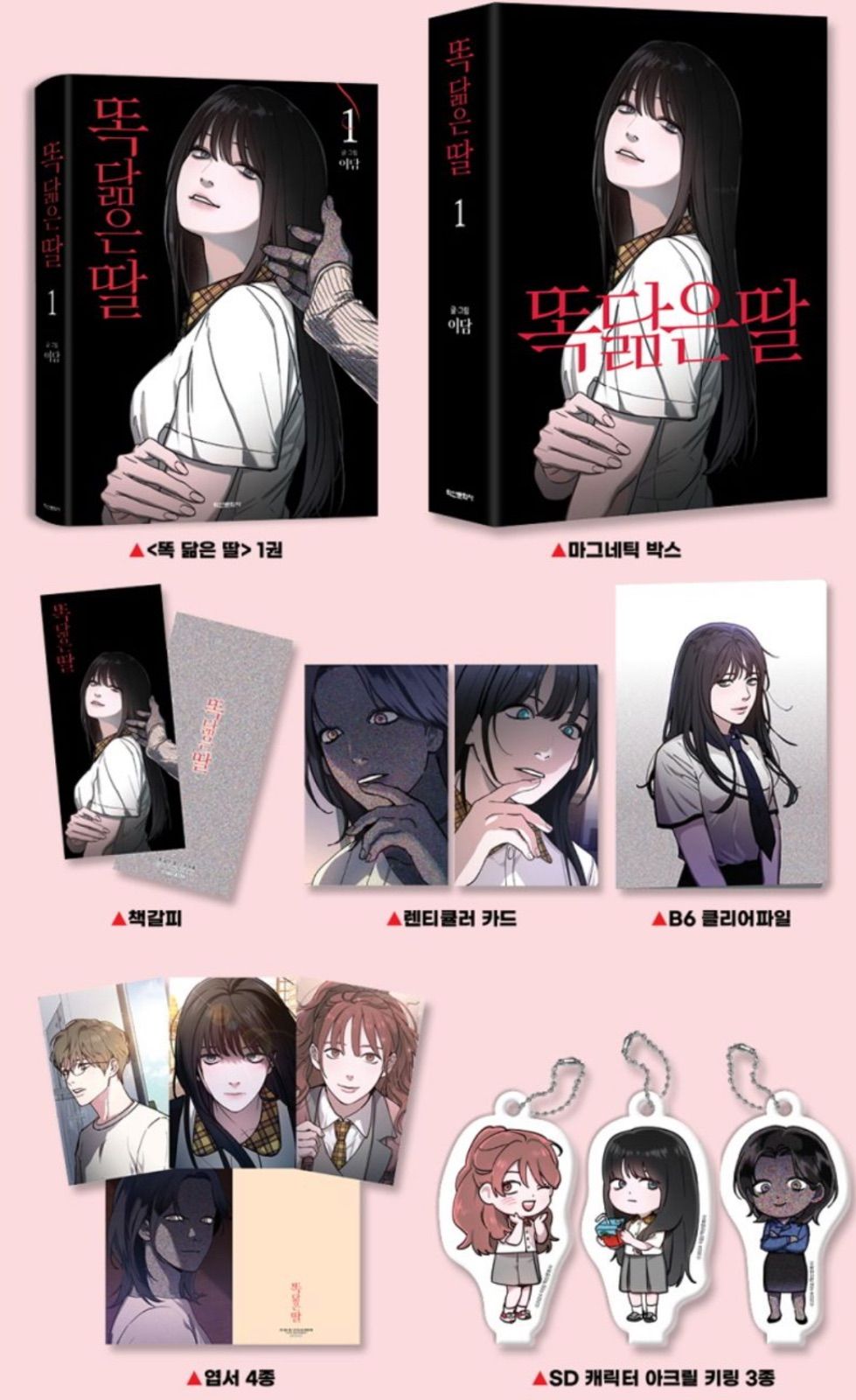 韓国版 漫画 限定版 YIDAHM 瓜二つの娘 1 ボックス版 LINEマンガ LINE WEBTOON