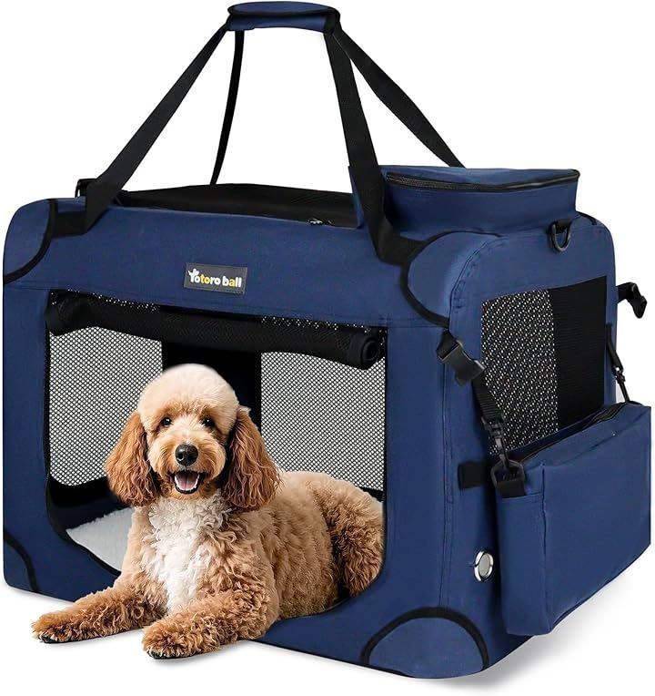 猫男爵ショーウィンドウ アンティークドールハウス BOXドールハウス