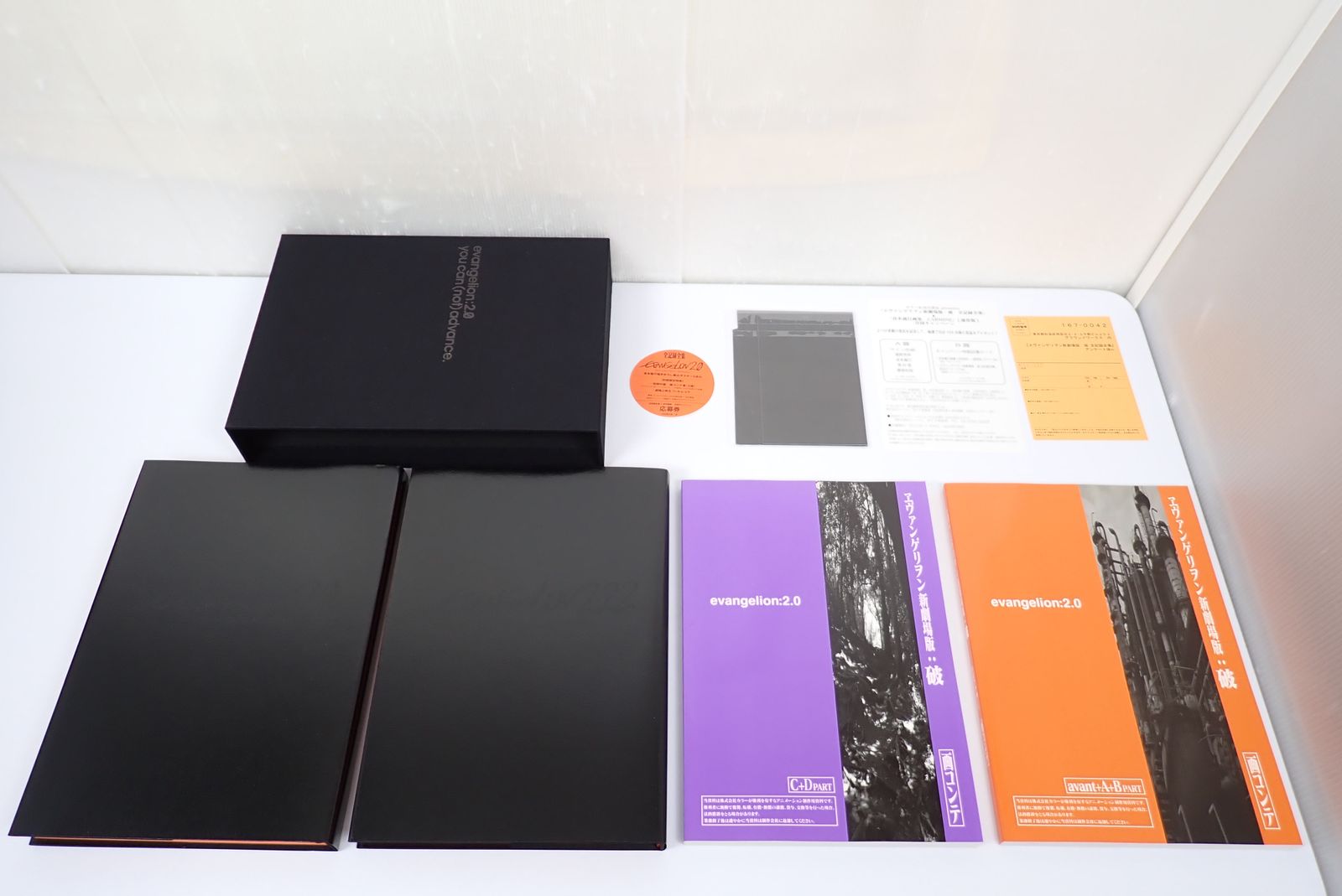 ヱヴァンゲリヲン新劇場版 序 破 全記録全集 2点セット 生
