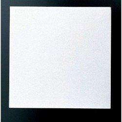 3営業日で発送 TKG テイケイジイ 遠藤商事 奉書焼き紙 200枚入 小 QHU2602