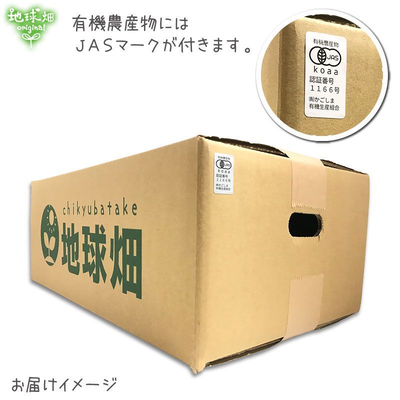 有機ビーツ 9kg