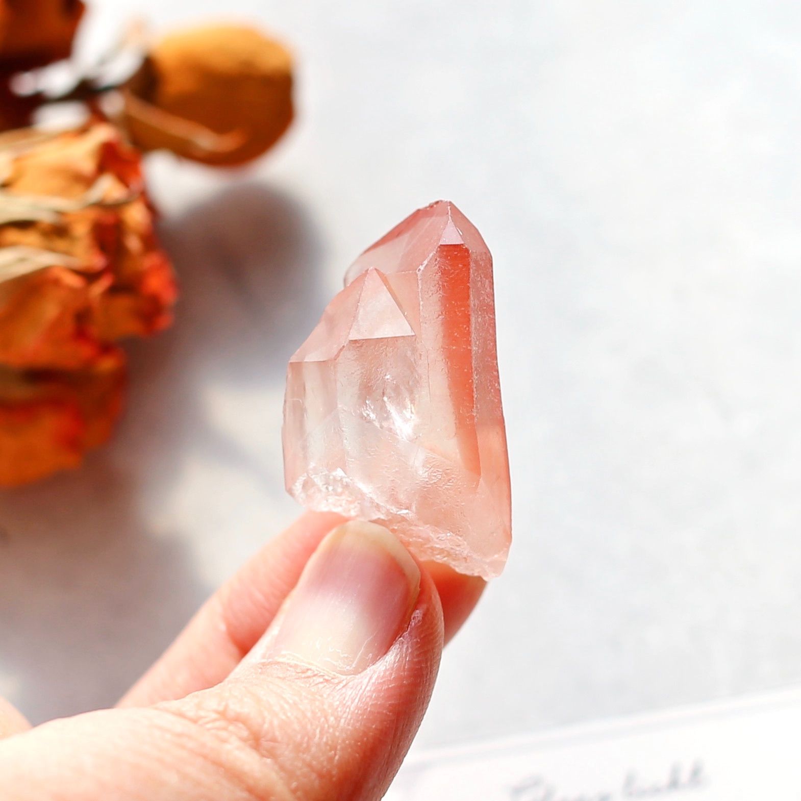 ツイン ディープピンクレムリアンシード 天然石 水晶 鉱物 一点物