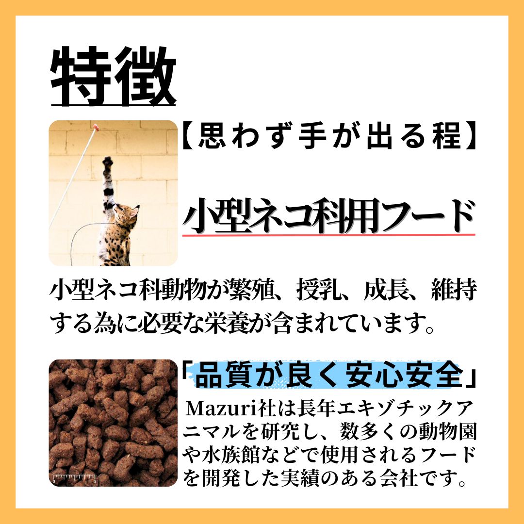 エキゾチック フィーライン