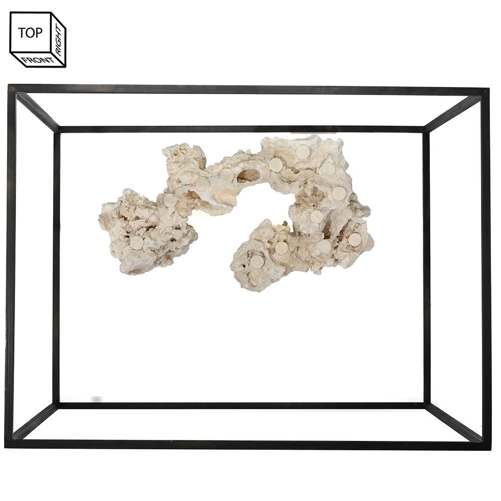 サンゴ水槽向け