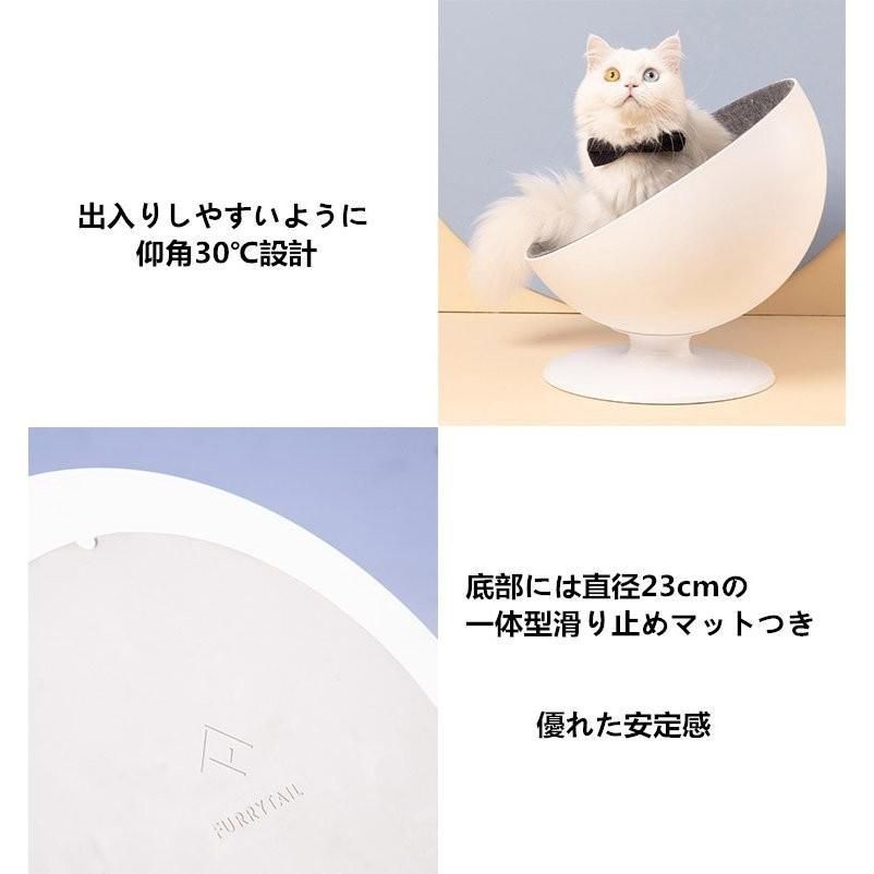 ドーム型