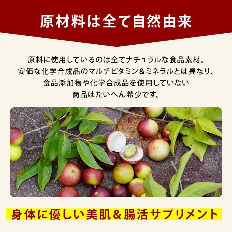 自然由来のビタミン-乳酸菌 カプセル