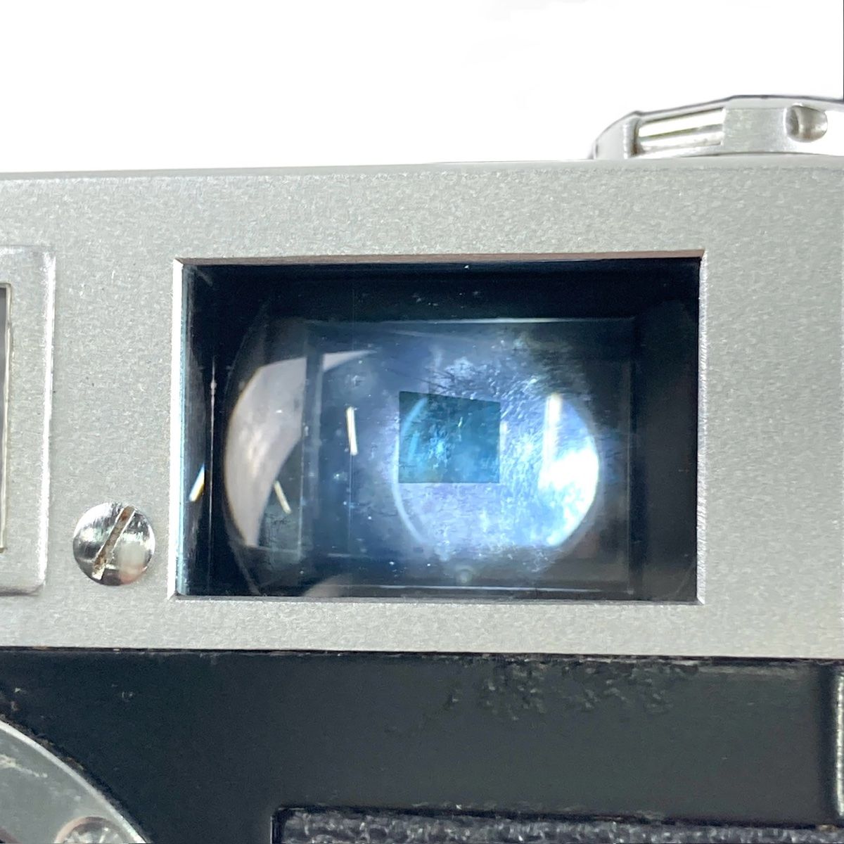 フィルム