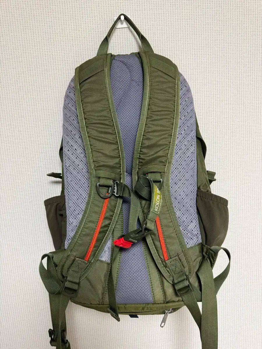 Kolon