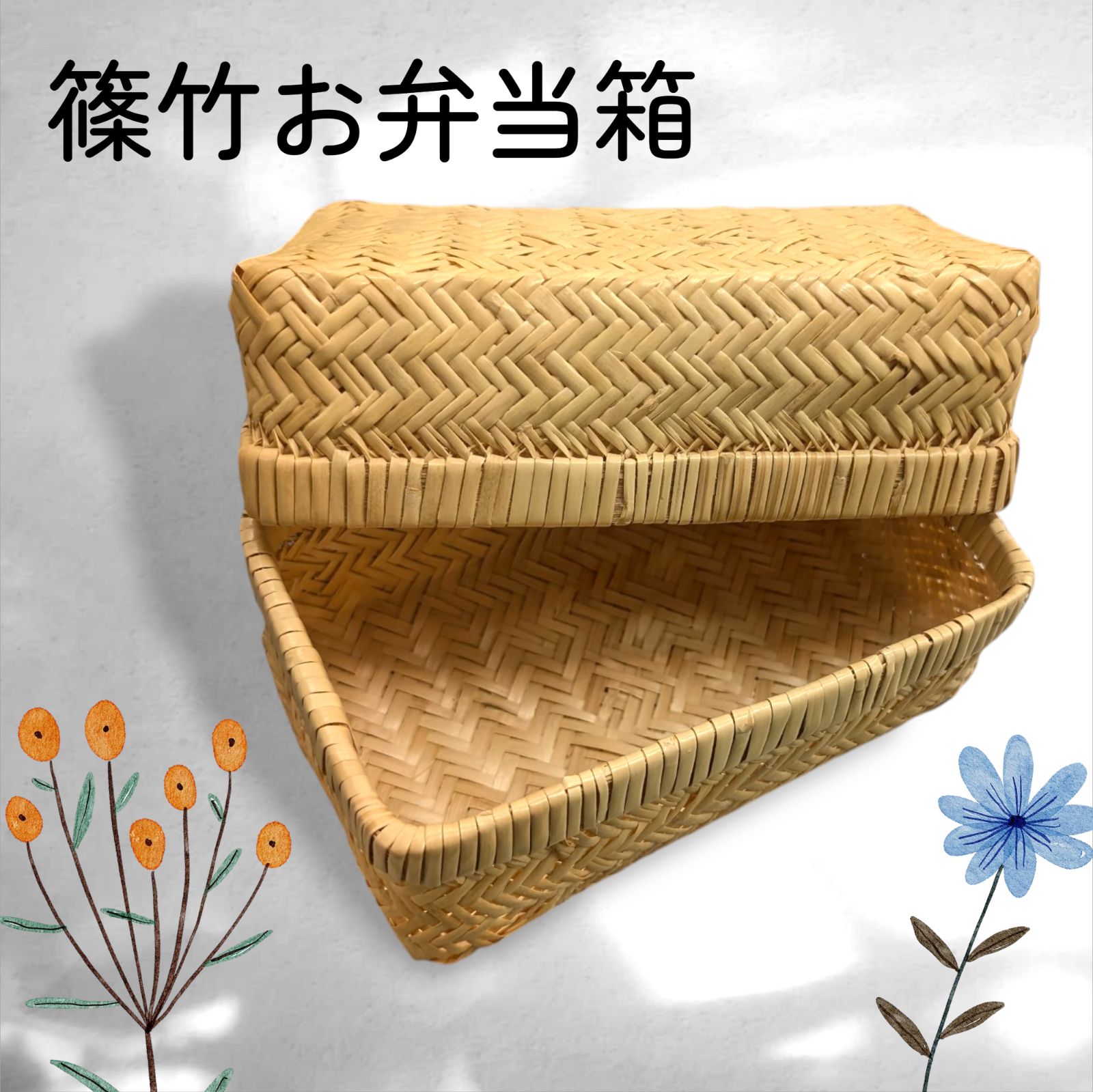 うちわ 収納 ファイル 割引 コンサート ライブ グッズ 3COINS スリコ