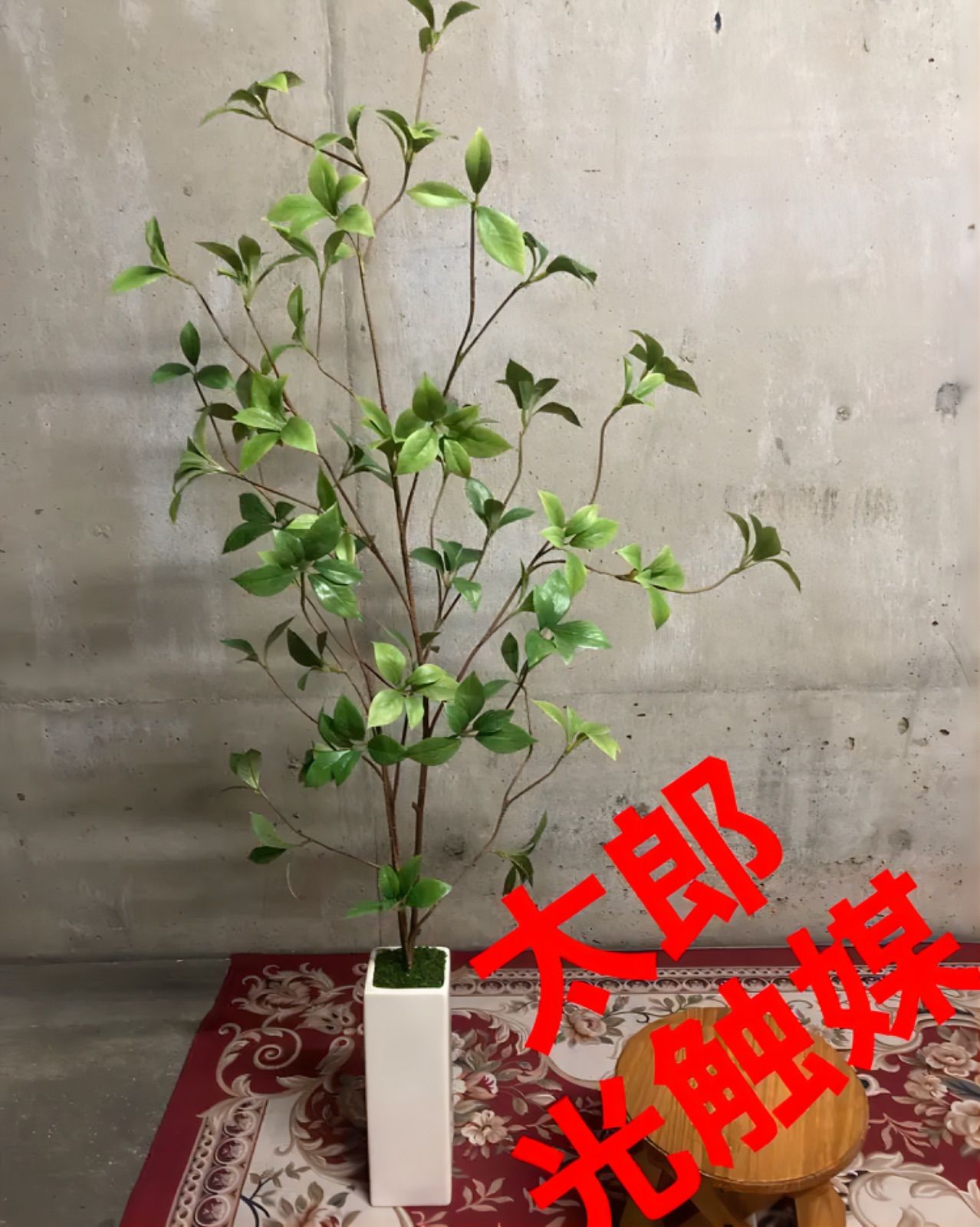 光触媒 人工観葉植物 ウォールグリーン フェイクグリーン クロモジ ...