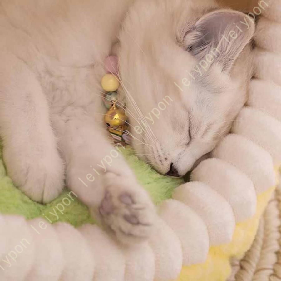 うさぎ